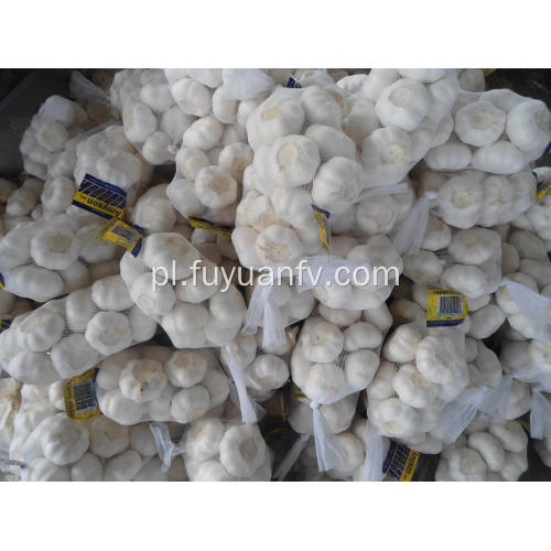 Pure White Garlic 5.5-6.0cm